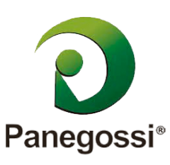 PANEGOSSI